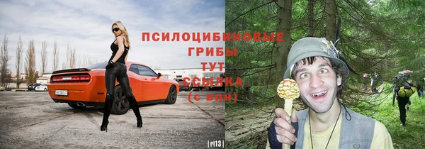 a pvp Верея