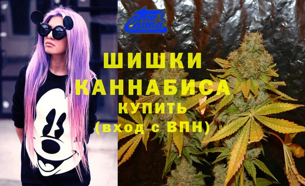 a pvp Верея