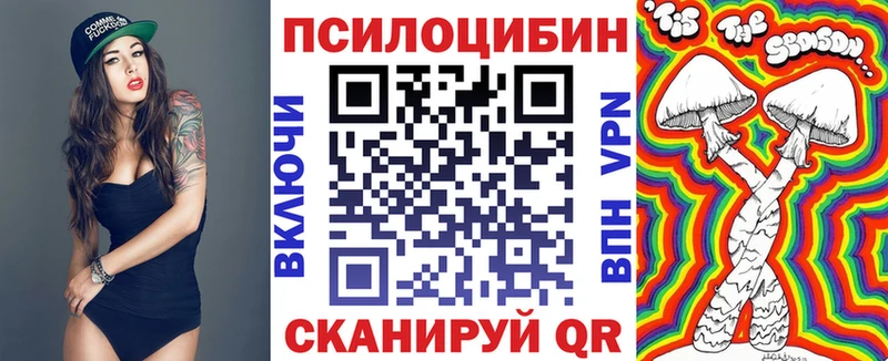 Псилоцибиновые грибы мухоморы  Купить где  Чердынь 